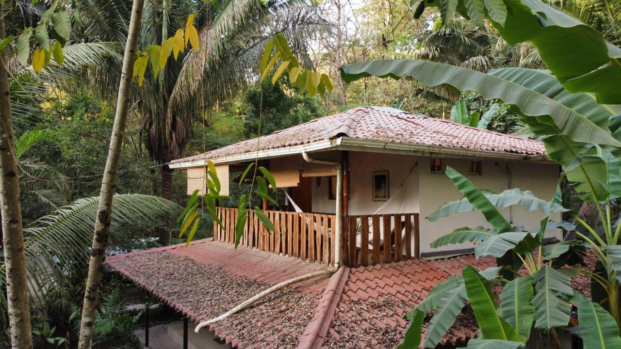 Colibri Apartments - 4 Min Walk To The Beach! Playa Santa Teresa  Exterior photo