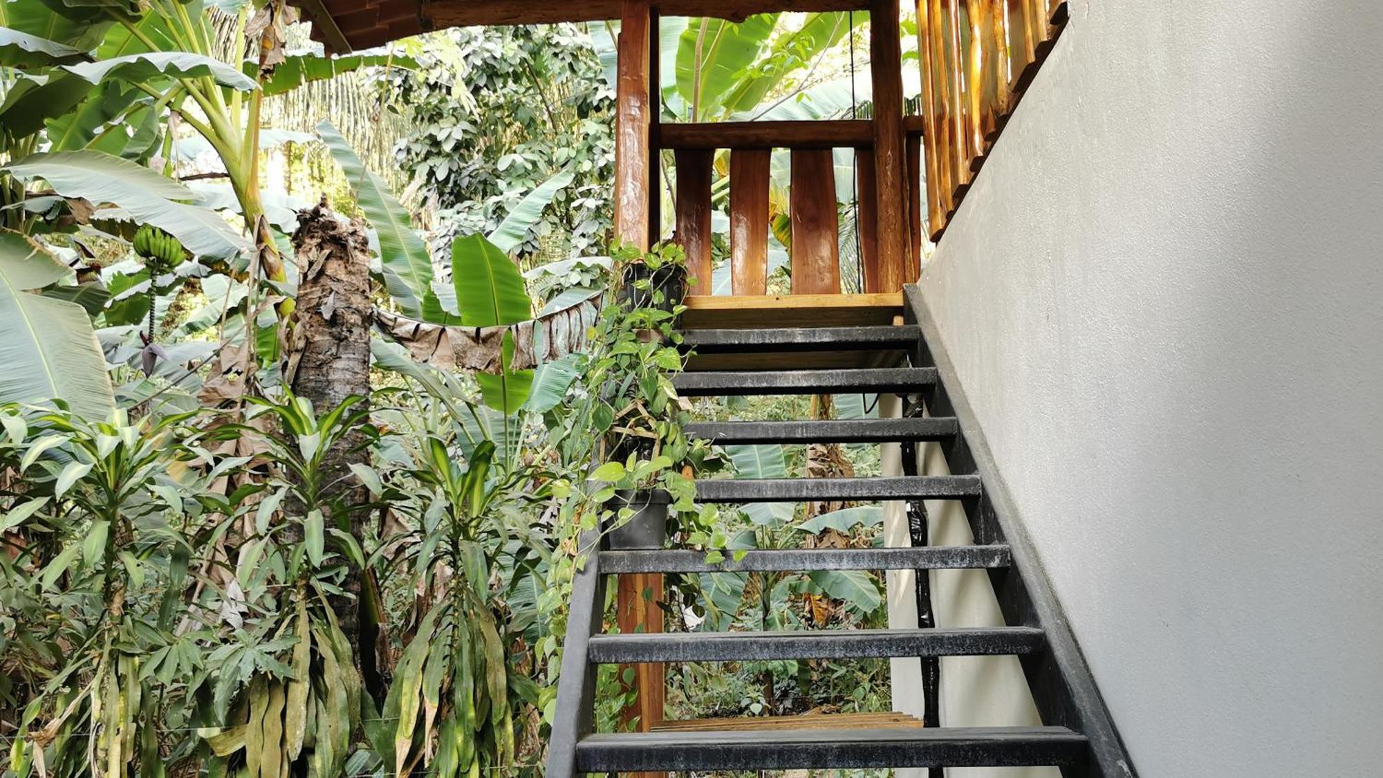 Colibri Apartments - 4 Min Walk To The Beach! Playa Santa Teresa  Room photo