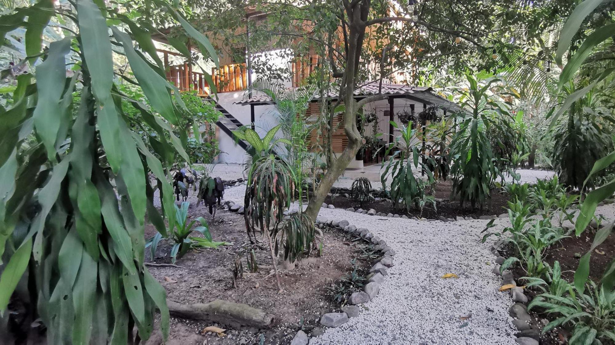 Colibri Apartments - 4 Min Walk To The Beach! Playa Santa Teresa  Room photo